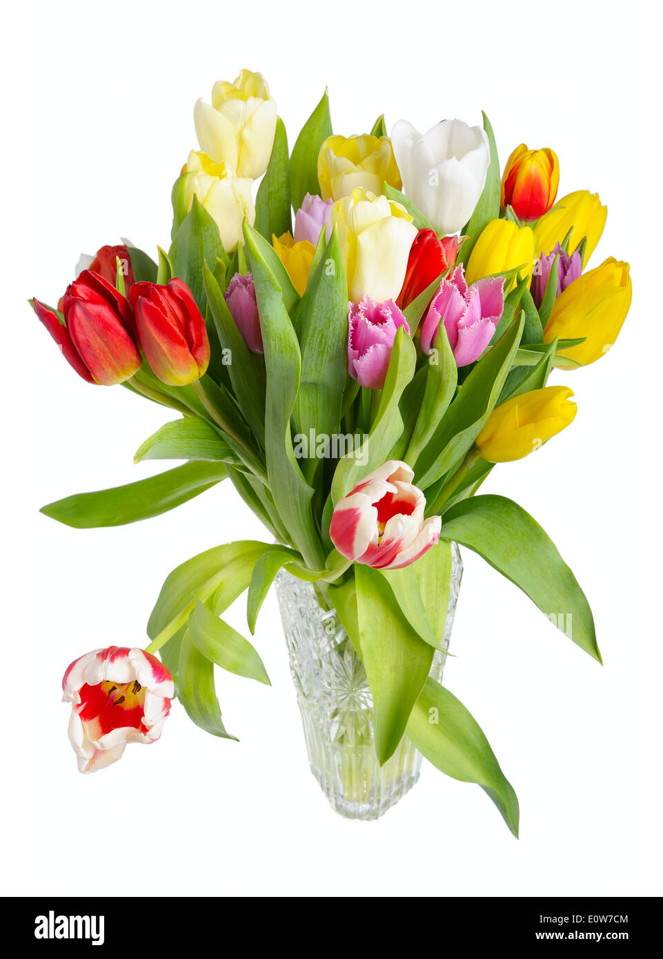 Motley bouquet de tulipes dans un vase en cristal sur un fond blanc, isolé Banque D'Images