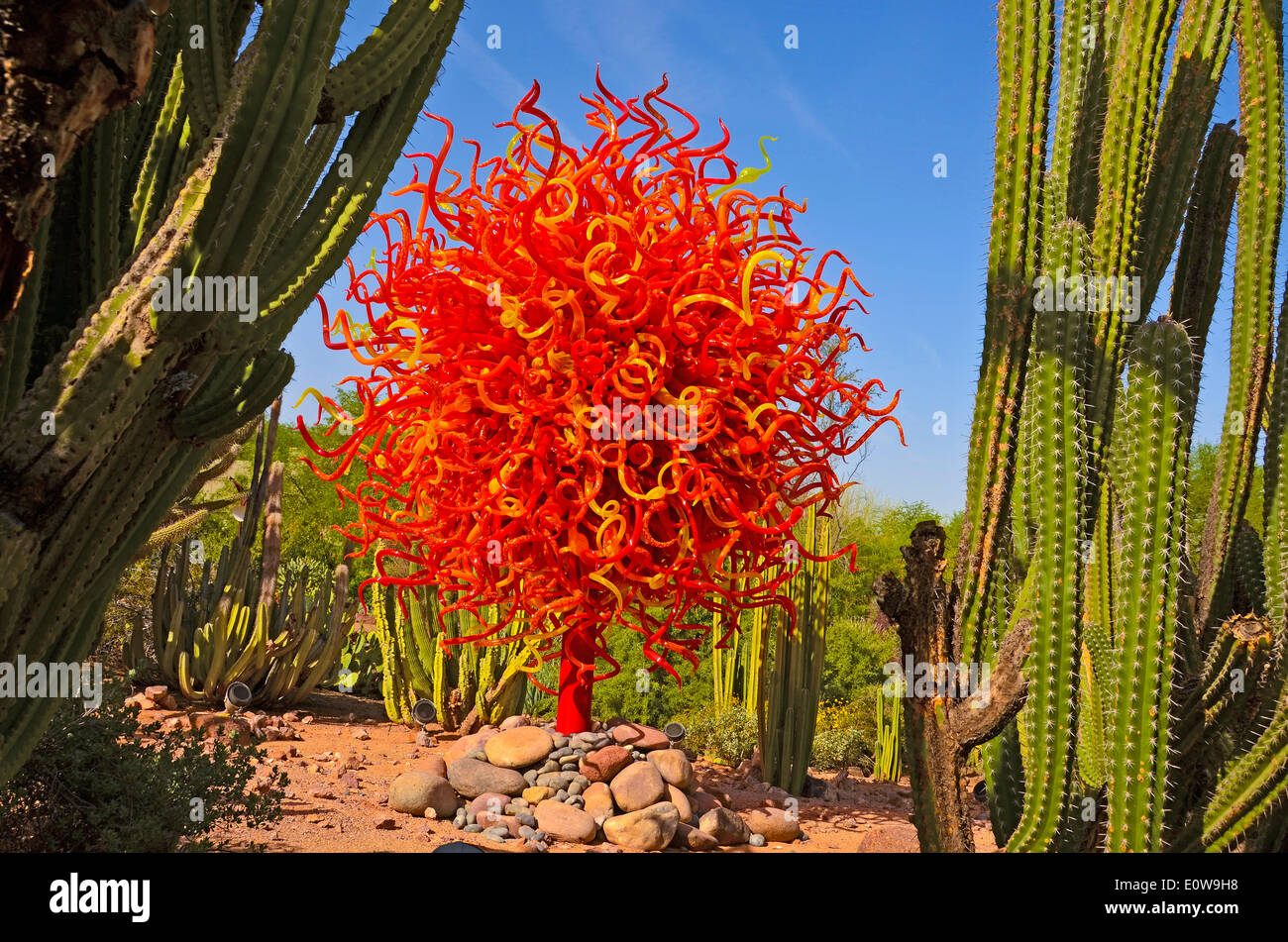 Le légendaire artiste verrier Dale Chihuly expose son travail au Desert Botanical Gardens à Phoenix, Arizona, USA au cours de 2014. Banque D'Images