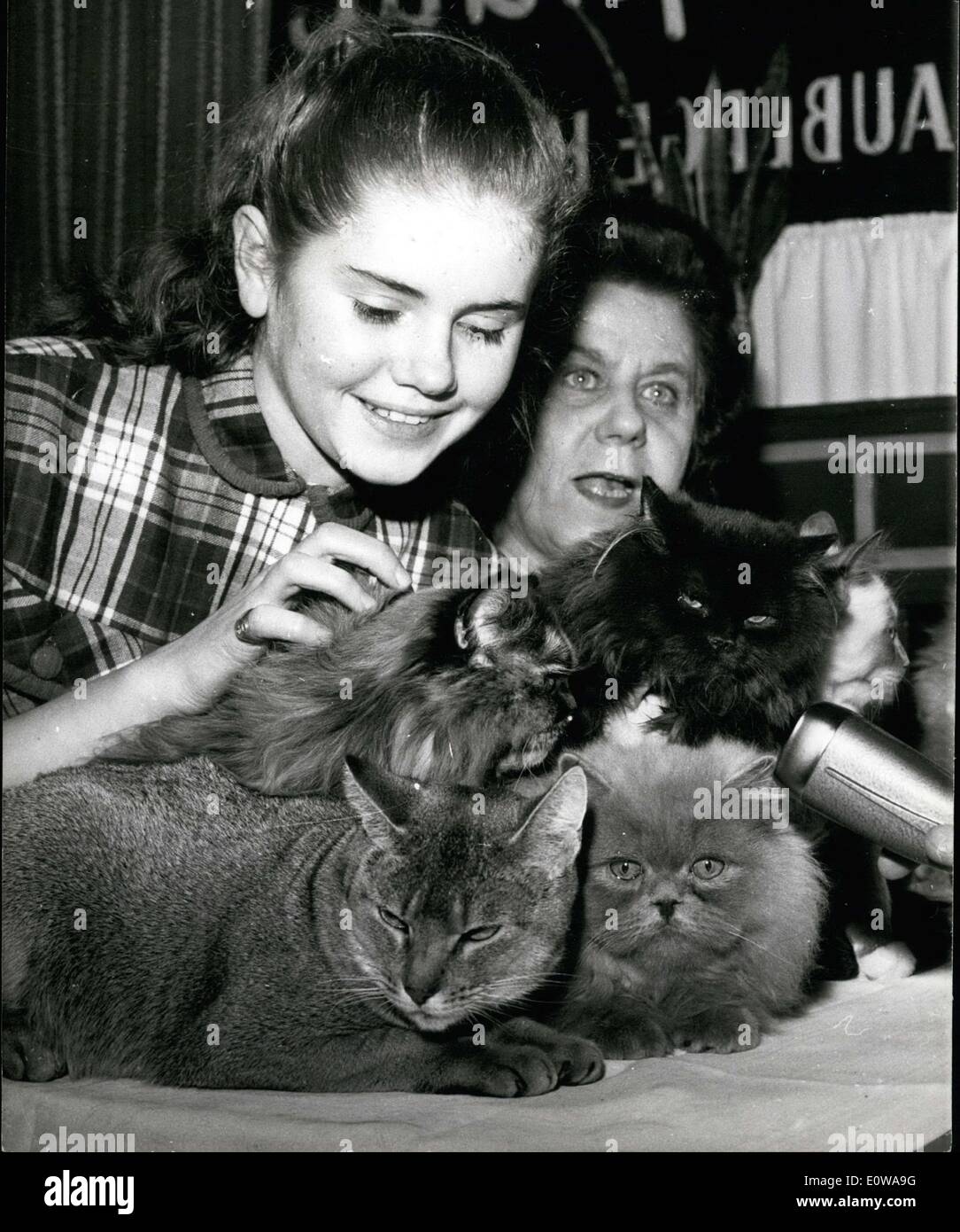 Mar 04 1962 Hier Le Cercle Felin De Paris A Presente Quelques Uns De Leurs Plus Beaux Chats Qui Prendront Part A L Exposition Internationale Feline Le 9 Mars Tous Les Amis Des
