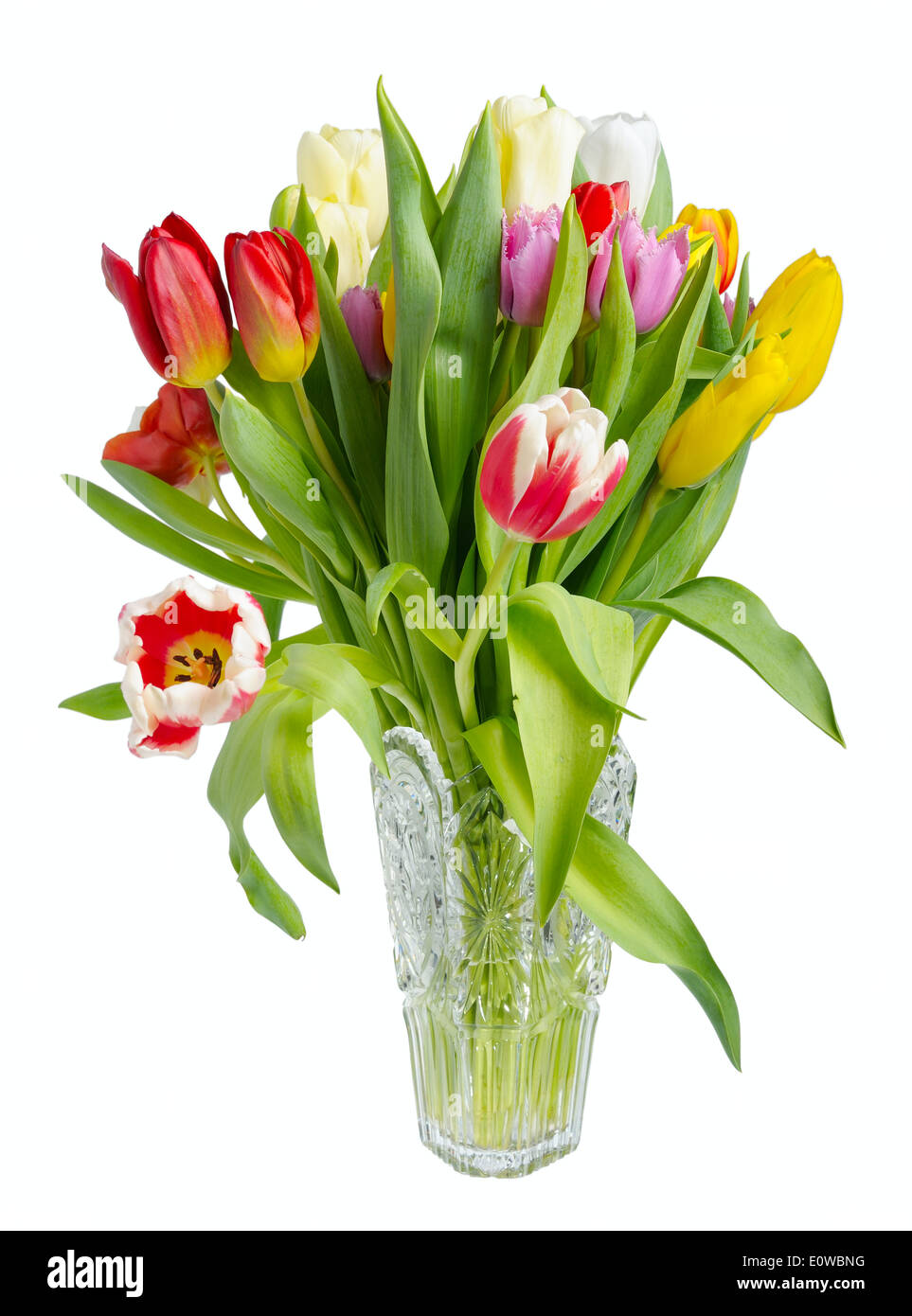 Motley bouquet de tulipes dans un vase en cristal sur un fond blanc, isolé Banque D'Images