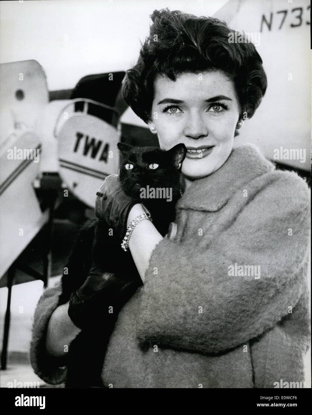 Mai 05, 1962 - Superstitius ? : Radiant Polly Bergen defi's le vendredi 13 par superstition de câliner son chat noir le ''Tinker Bell'' avant de monter à bord d'un avion. Banque D'Images