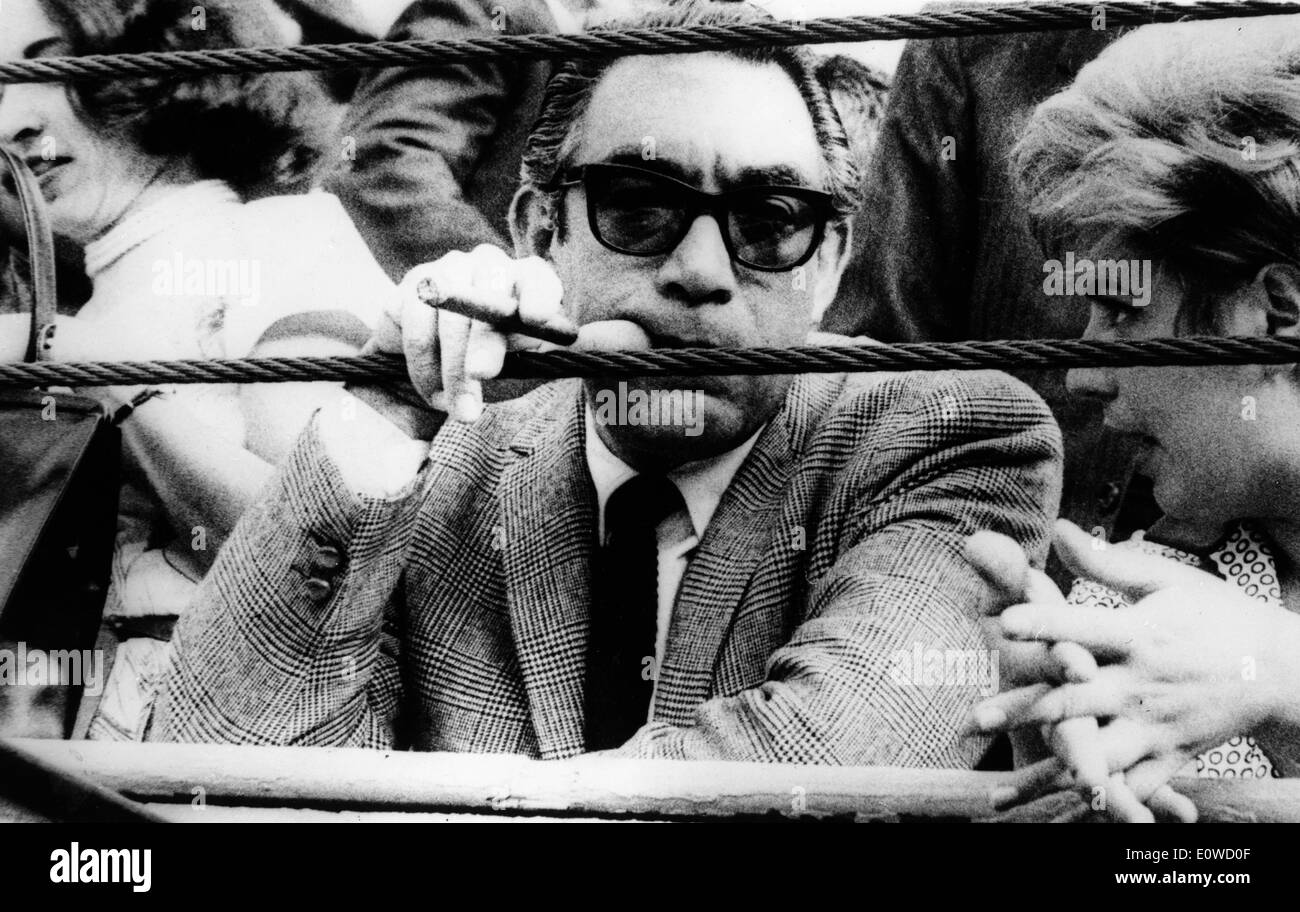 Anthony Quinn acteur regarder une corrida Banque D'Images