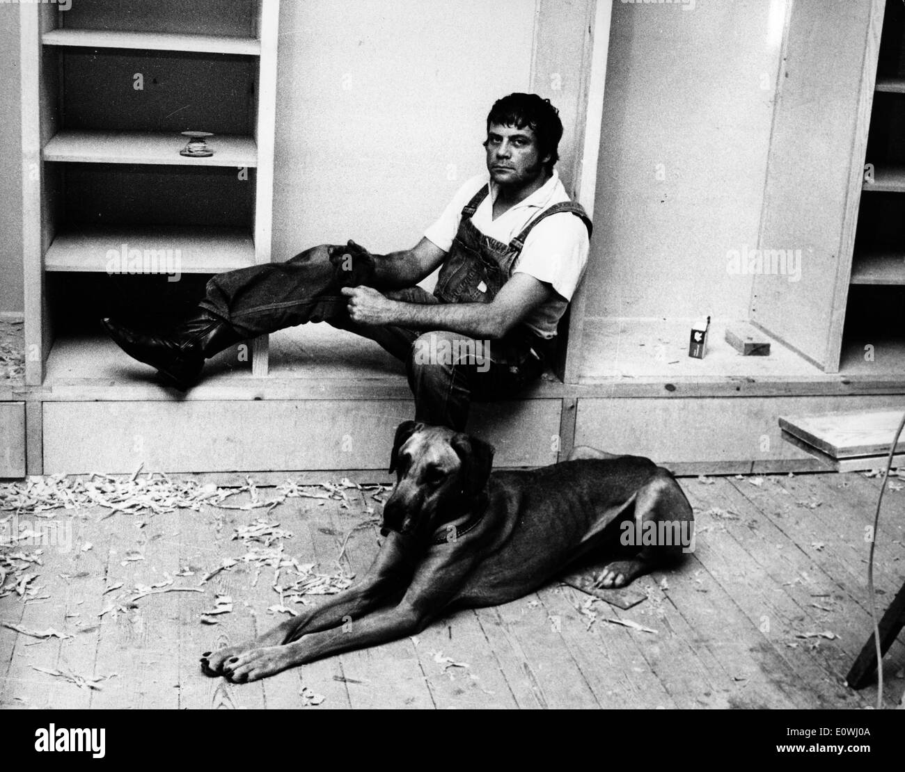 L'acteur Oliver Reed dans sa maison avec son chien Banque D'Images