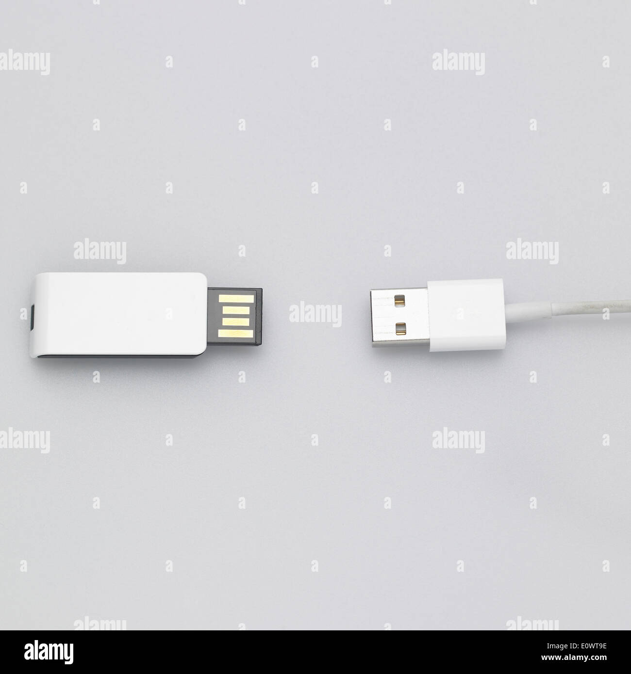 Une carte mémoire USB et un cordon usb Banque D'Images