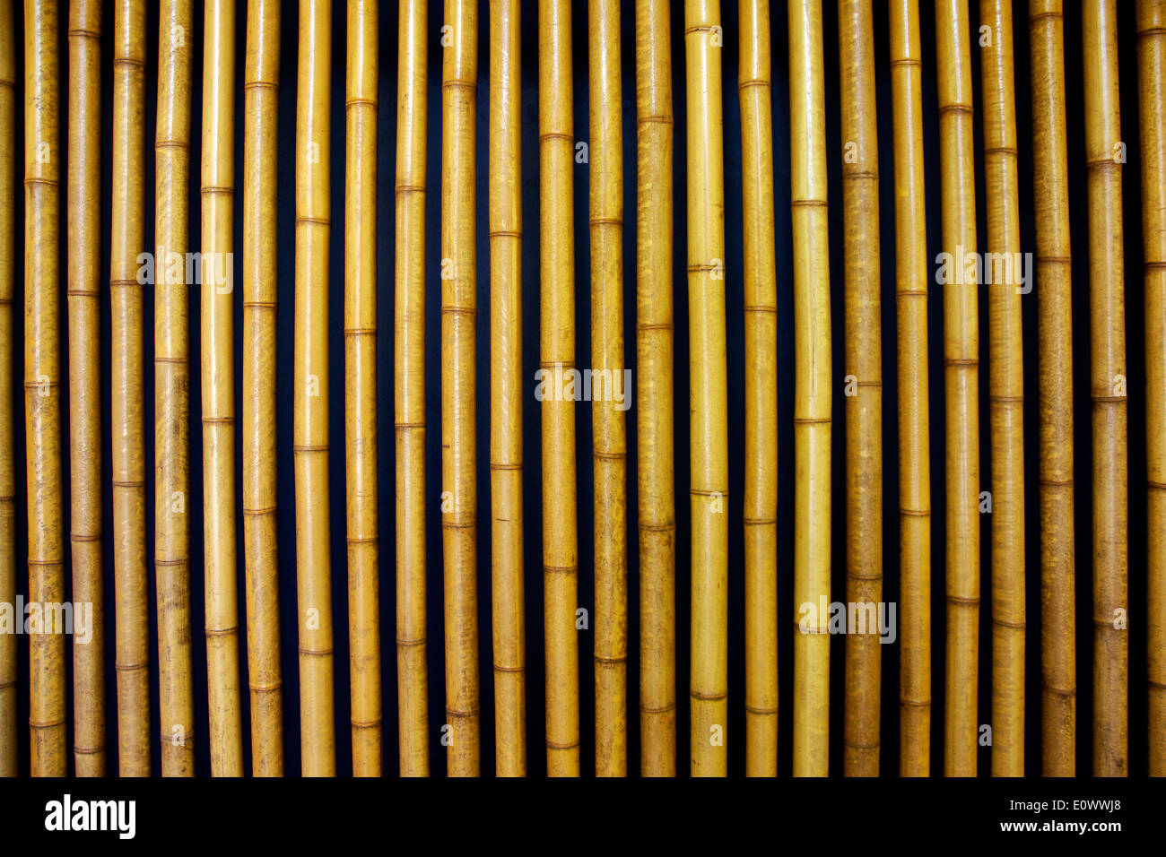 Barres parallèles de bambou en guise de décoration murale Banque D'Images