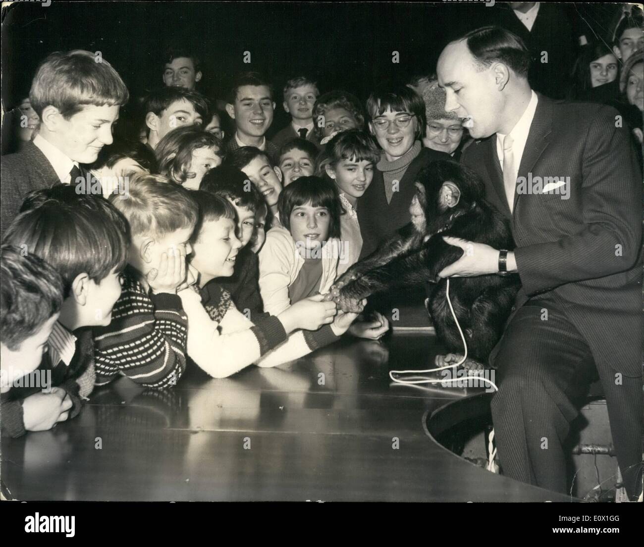 Le 12 décembre 1964 - Desmond Morris conférenciers sur ''le comportement animal'' le chimpanzé possède un Tun-de-guerre avec les enfants. : le Dr Desmond Morris - conservateur des mammifères à la Société zoologique de Londres - a donné sa conférence devant un auditoire juvénile sur ''le comportement animal - cet après-midi à l'Institution royale - Londres. La photo montre le chimpanzé ''Butch'' organisé par le Dr Morris - a un bras de fer avec certains des enfants pour les raisins - après la conférence de cet après-midi. Banque D'Images