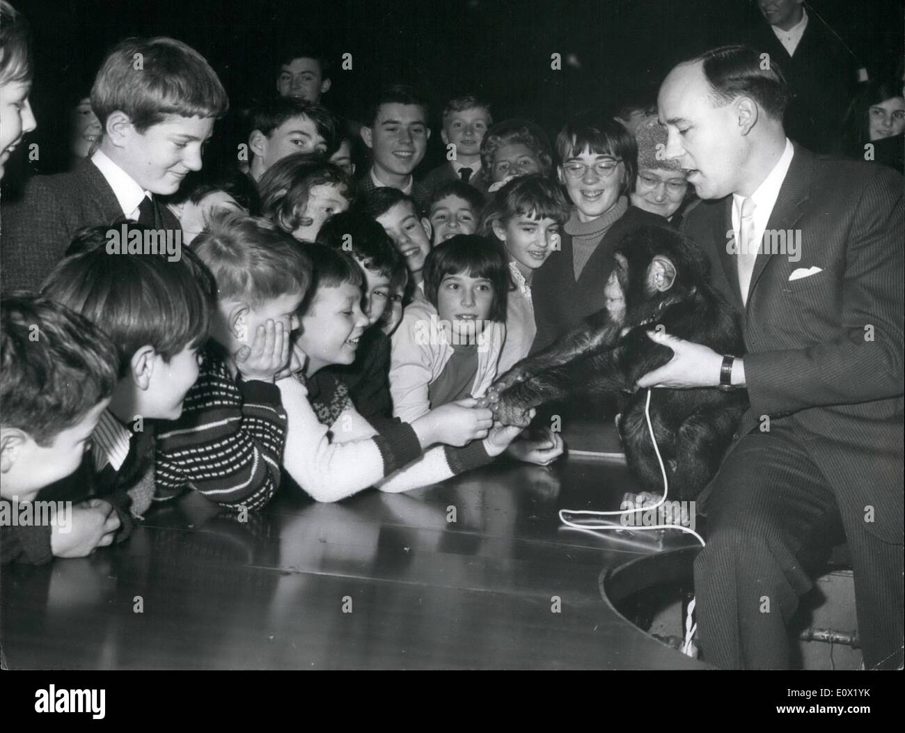 Le 12 décembre 1964 - Desmond Morris Conférences sur ''le comportement animal''. Le chimpanzé A UNE Tug-Of-guerre avec les enfants : le Dr Desmond Morris - conservateur des mammifères à la Société zoologique de Londres - a donné sa conférence devant un auditoire juvénile sur ''le comportement animal'' - cet après-midi à l'Institution royale - Londres. La photo montre le chimpanzé ''Butch'' organisé par le Dr Morris - a un bras de fer avec certains des enfants pour les raisins - après la conférence de cet après-midi. Banque D'Images