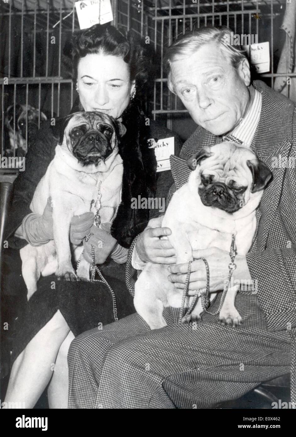 Duc et Duchesse de Windsor après une exposition canine Banque D'Images