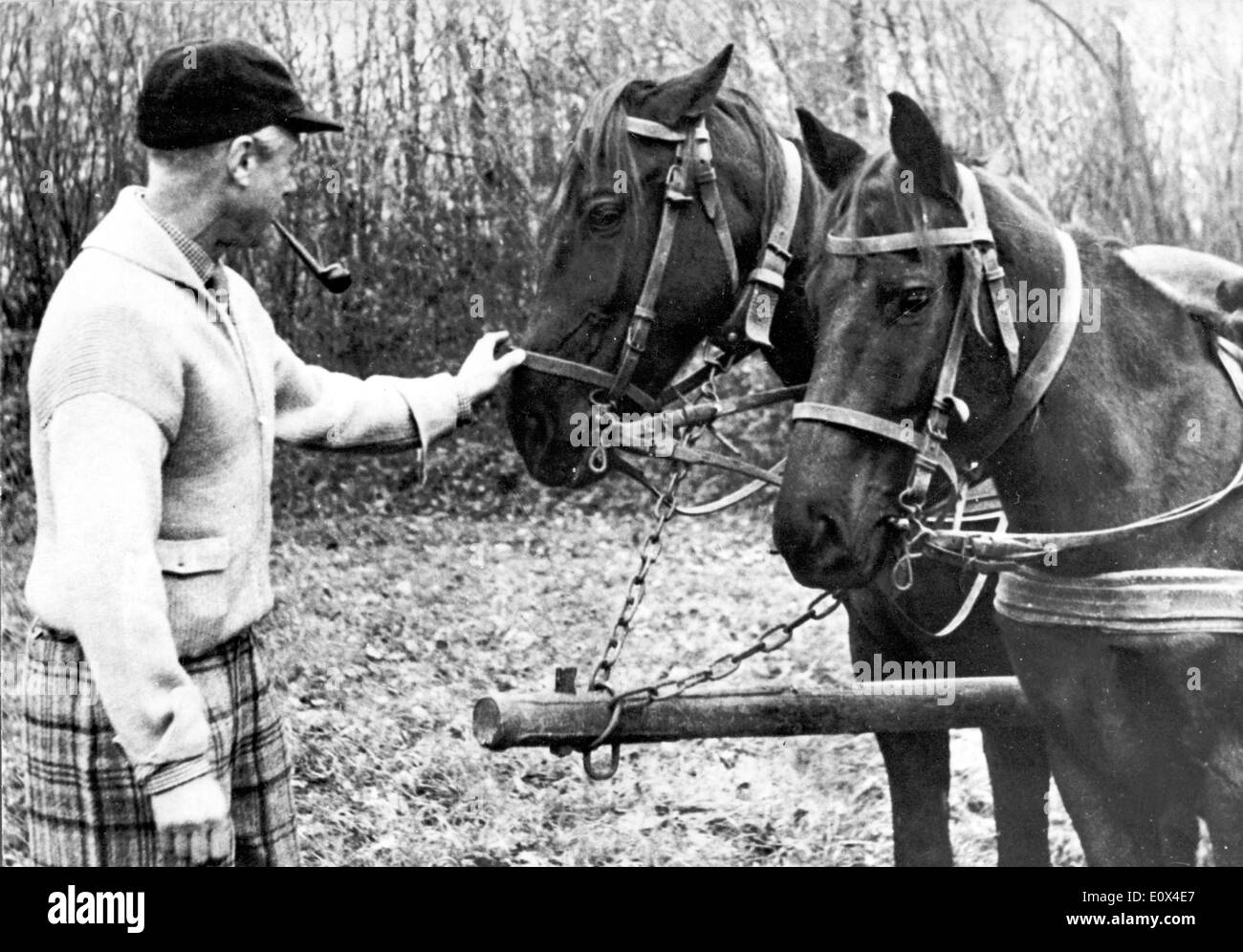 Le duc de Windsor les chevaux pour enfants Banque D'Images