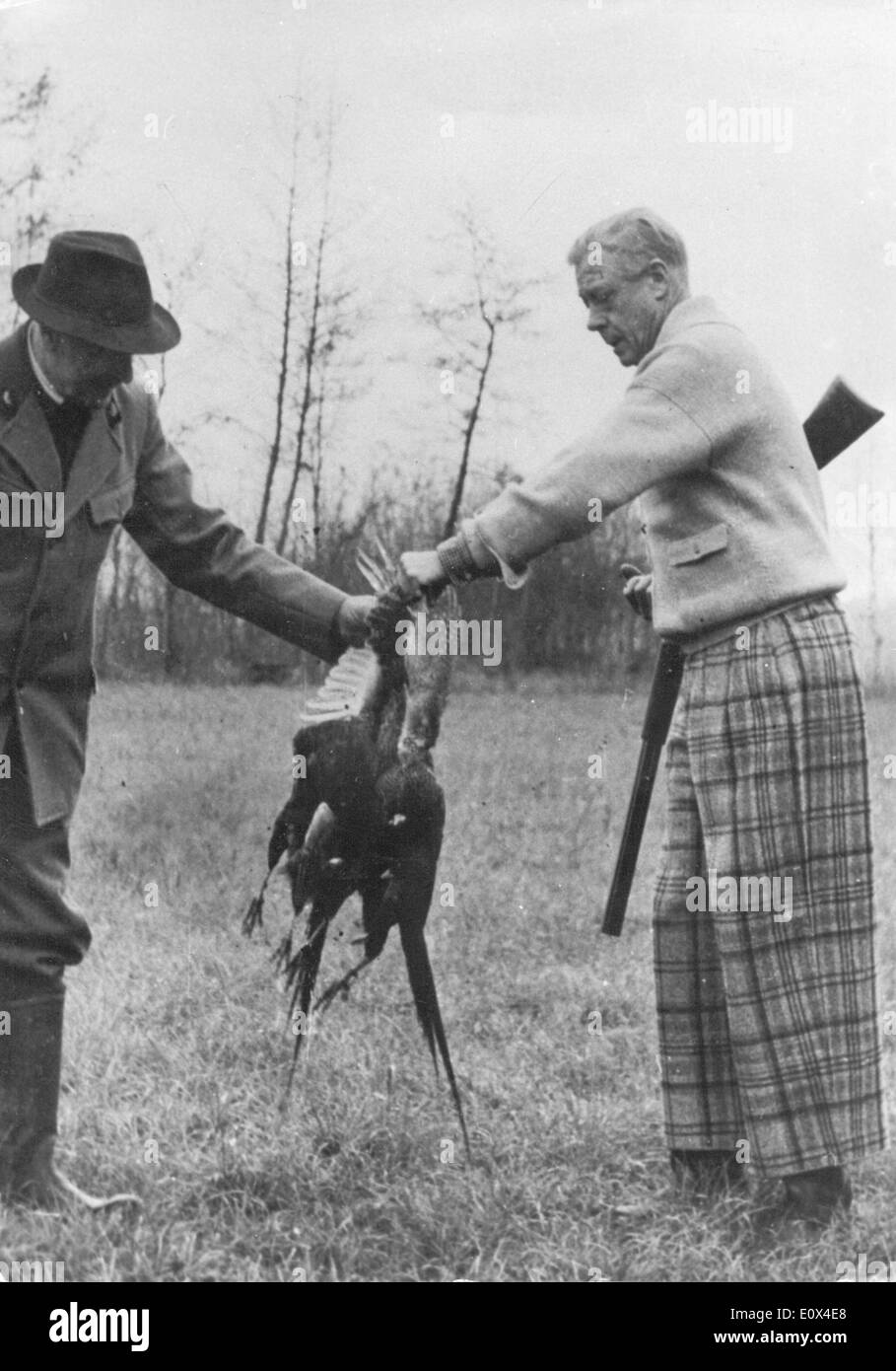 Le duc de Windsor faisans de chasse Banque D'Images