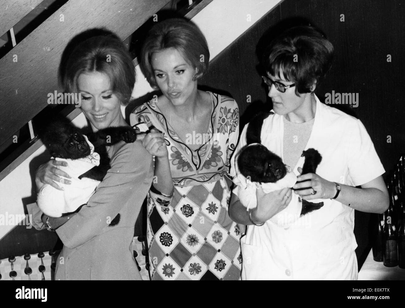 Alice und ellen kessler Banque de photographies et d’images à haute ...