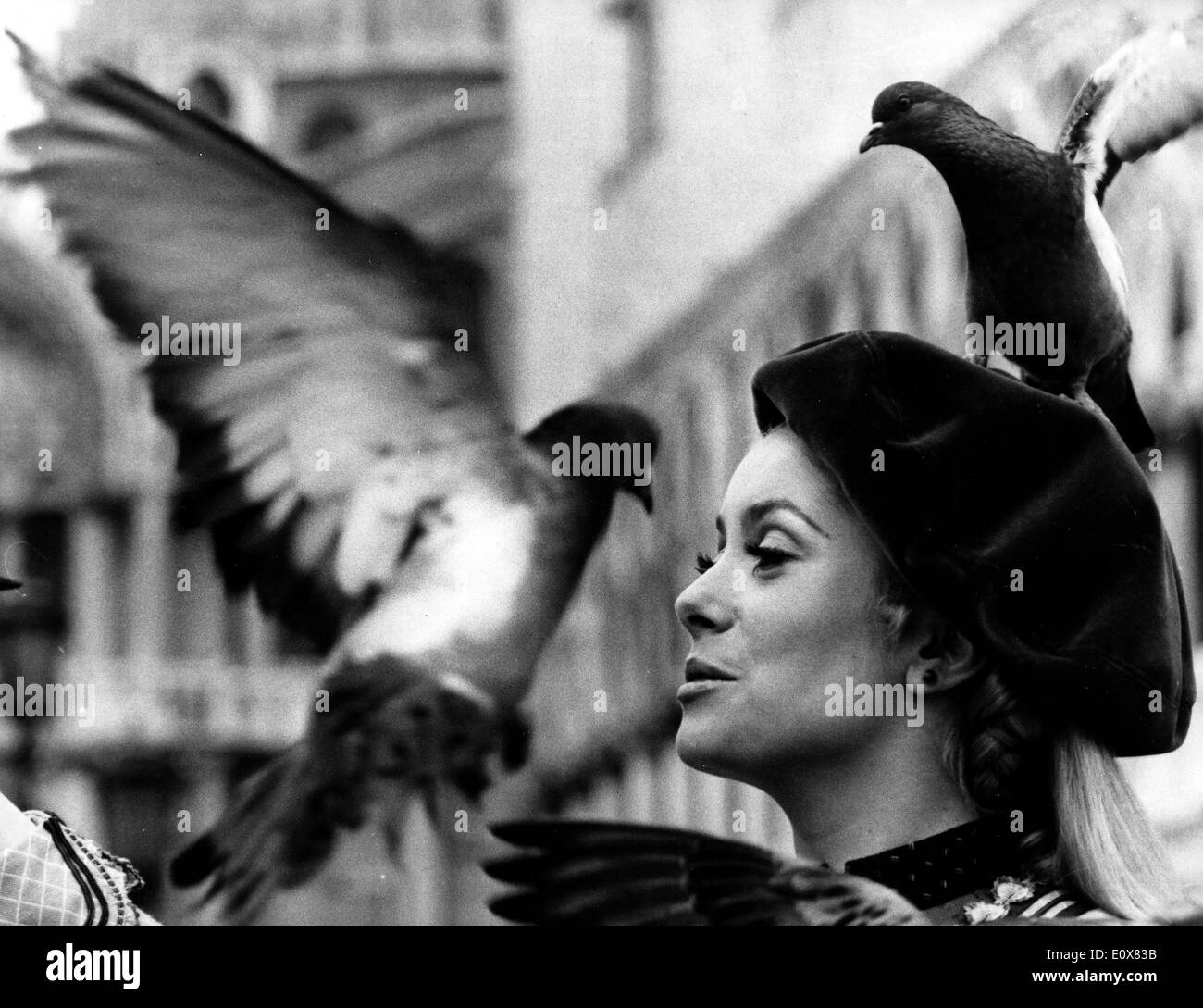 Catherine Deneuve actrice jouant avec les pigeons Banque D'Images