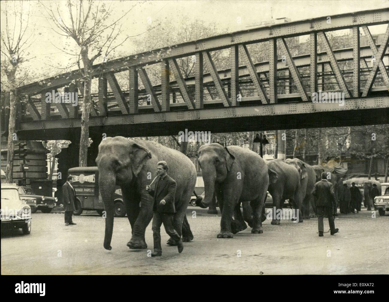 Le 10 novembre 1965 - Défilé des éléphants de cirque d'hiver à Paris Banque D'Images