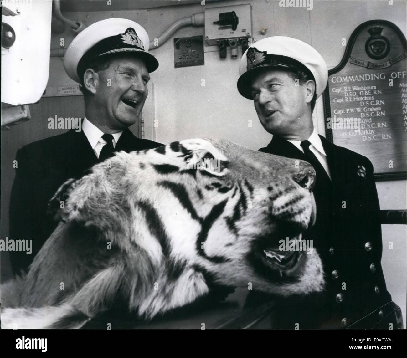 Stuffed tigers Banque de photographies et d'images à haute résolution -  Alamy