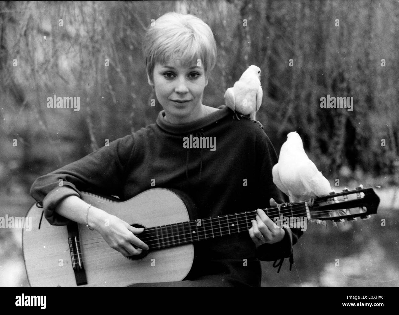 01 janvier 1967 - Photo : circa 1960 ; emplacement inconnu. Singer NOELLE CORDIER (né le 7 avril 1944 à Paris) est une chanteuse française. Elle a participé pour la France à l'Eurovision 1967 à Vienne terminant en troisième place de 17 entrées. La chanson est très bien pensé et reste un des préférés des fans de l'Eurovision. Banque D'Images