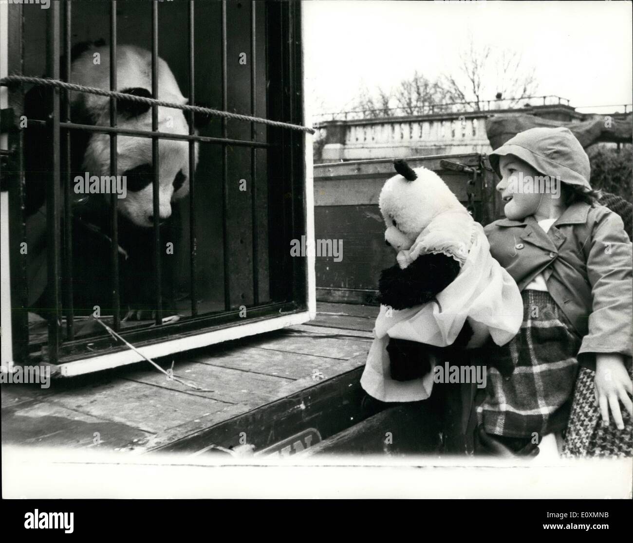 Avril 04, 1967 - ''Chichi'' sur l'déménager encore une fois : ''Chichi'', s'est rendu ce mois-ci, est un panda se déplacer à nouveau. Aujourd'hui, elle a quitté sa vieille ville près de la tour de l'horloge au Zoo de Londres pour un nouveau et plus gros châssis en face trop le Children's Zoo. Ses hébergements disposent de la climatisation et d'hébergement sur scènes derrière a été fourni pour un deuxième Grand Panda, dans l'espoir que ''An-An'', l'homme russe Panda peut toujours visiter Londres à l'automne. Chef keeper Sam Morton, qui veulent à Moscou, il sera toujours à la recherche après ''Chichi'' dans ses nouveaux locaux Banque D'Images