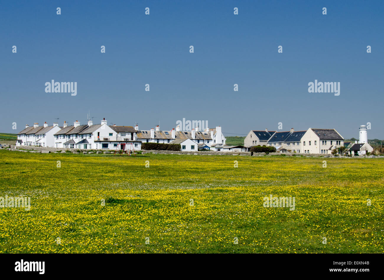 Maisons Portland Bill et Portland Bill Bird Observatory Banque D'Images