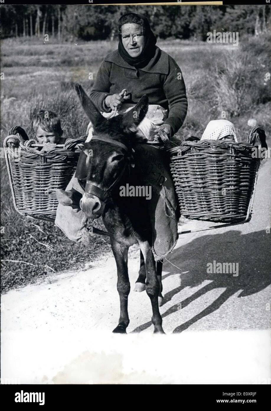 21 août 1967 - Ce grand-mère portugaise a trouvé une façon intéressante de voyager et d'avoir les enfants avec elle. Le burro a un panier de chaque côté avec les enfants Franco et Elena dans chacune. Banque D'Images