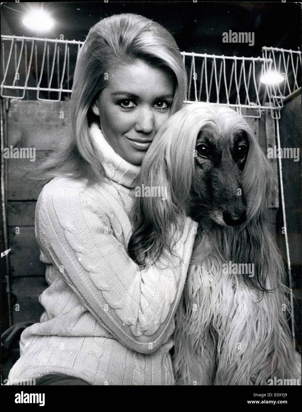 02 février 1968 - styles de cheveux semblable vu à Cruft's - la plus grande exposition canine au monde : cette année, il y a une entrée d'enregistrement de 7 017 chiens à Cruft's, le plus grand chien au monde, aujourd'hui détenu à Olympie. Après le jugement de valeur d'environ 500 000 d'entre eux seront exportés. La photo montre la jolie actrice Annette Andre, 23 ans, fait une photo de charme comme elle pose avec des cheveux -faire comme ''Karib'', un Lévrier Afghan entré pour le spectacle par son amie, Mme Race, d'Wemhley Park, Middlesex. Banque D'Images