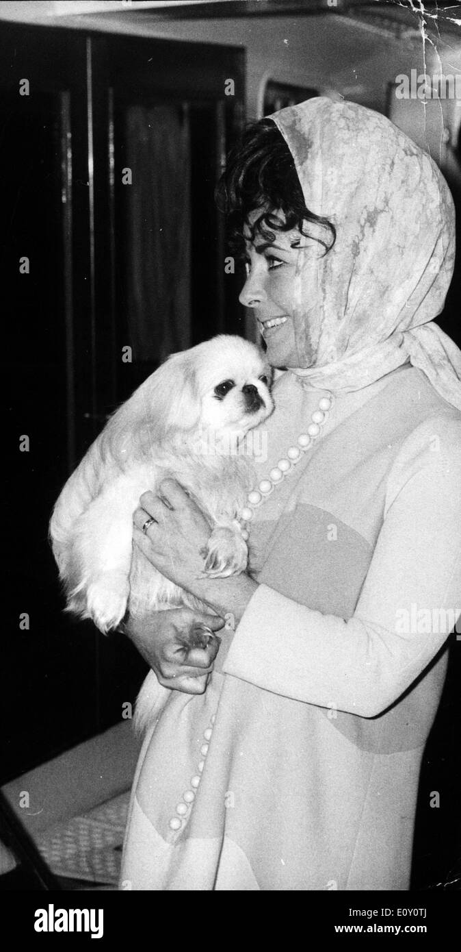 L'actrice Elizabeth Taylor sur son yacht avec son chien Banque D'Images
