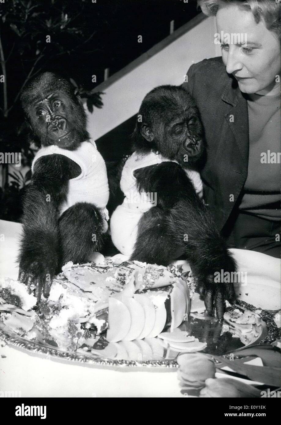 Mai 06, 1968 - On voit ici le fameux jumeaux gorilles Alice et Ellen à l'occasion de leur premier anniversaire. Personne n'aurait pu Banque D'Images