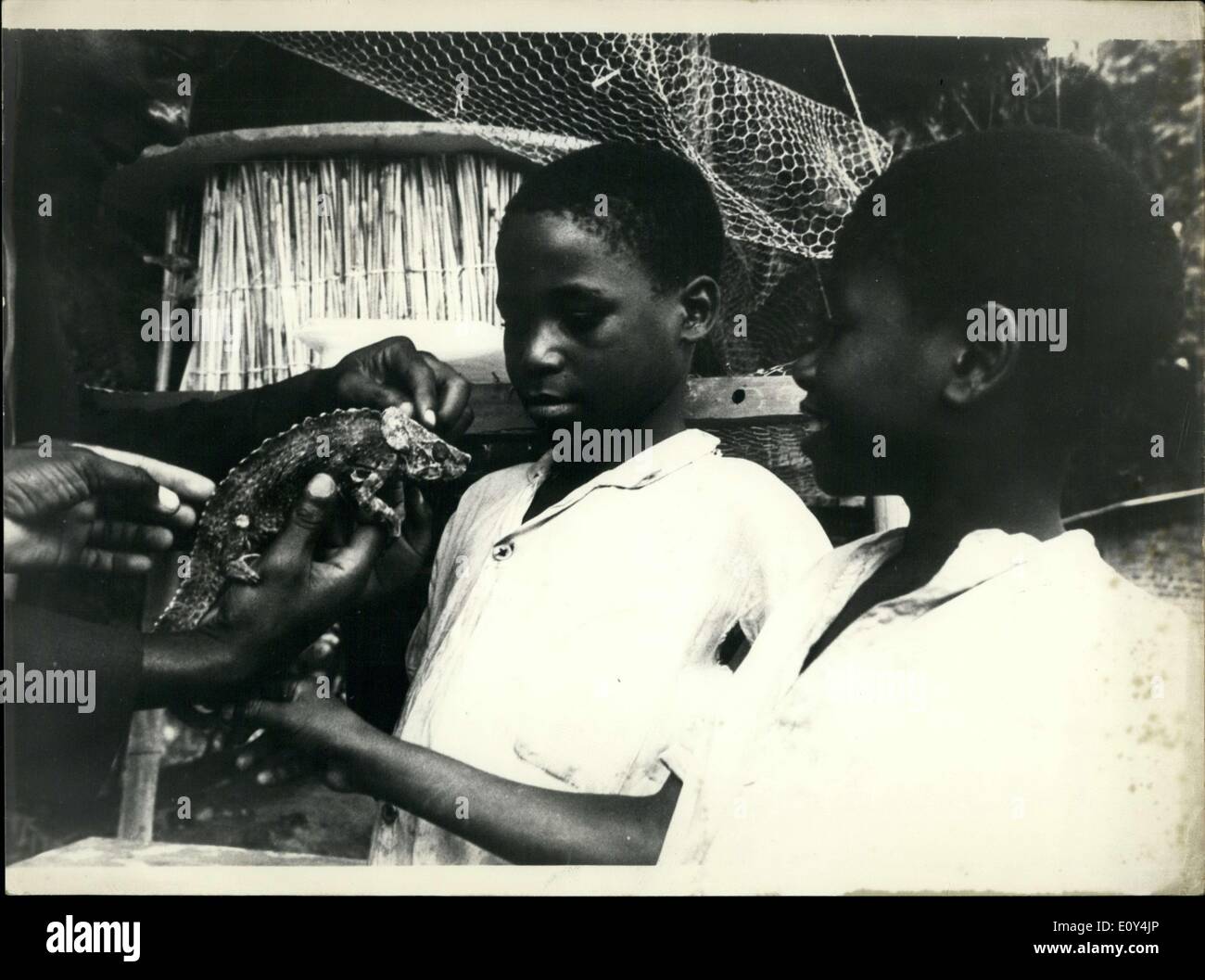 14 octobre 1968 - Le centre d'études scientifiques en Malawi, Domasi fait partie de l'UNESCO et la collaboration de l'UNICEF qui vise à enseigner aux enseignants de l'école primaire les méthodes modernes d'enseignement des sciences naturelles. Le programme prévoit de former 1 500 enseignants dans deux ans pour 250 écoles primaires au Malawi. Banque D'Images