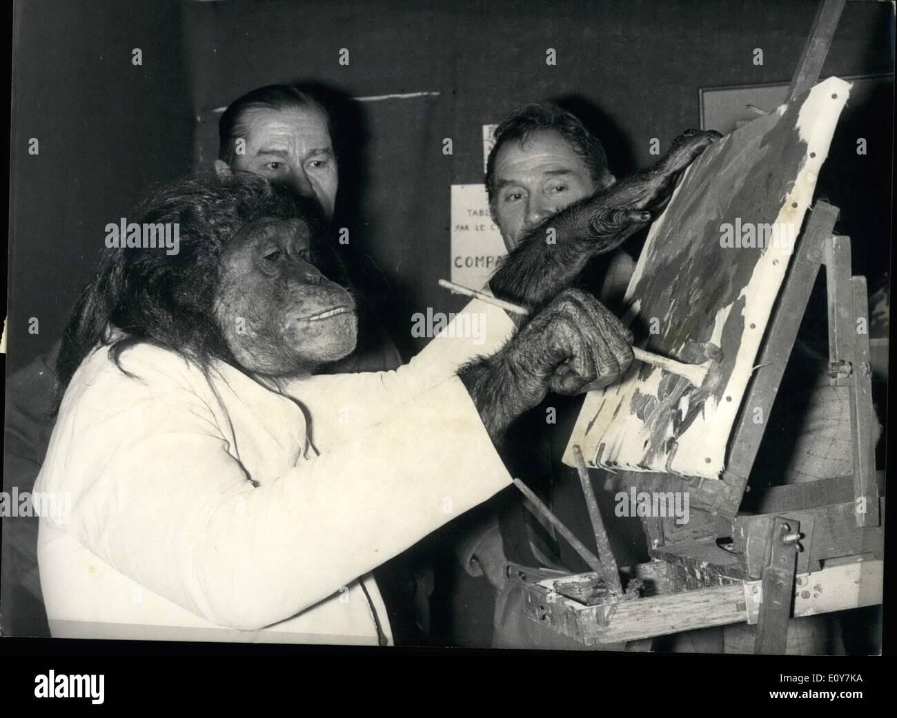 Avril 04, 1969 - les peintures de Pat des collègues déplaire : Pat, le chimpanzé, peintre, est la première d'argent pour avoir ses œuvres affichées lors d'une exposition actuellement en cours à Paris. Trois artistes qui ont participé à l'émission de retirer leurs peintures comme une protestation. La photo montre la PAT, les peintures des chimpanzés en mettant la touche finale à l'un de ses derniers ''travaille' Banque D'Images