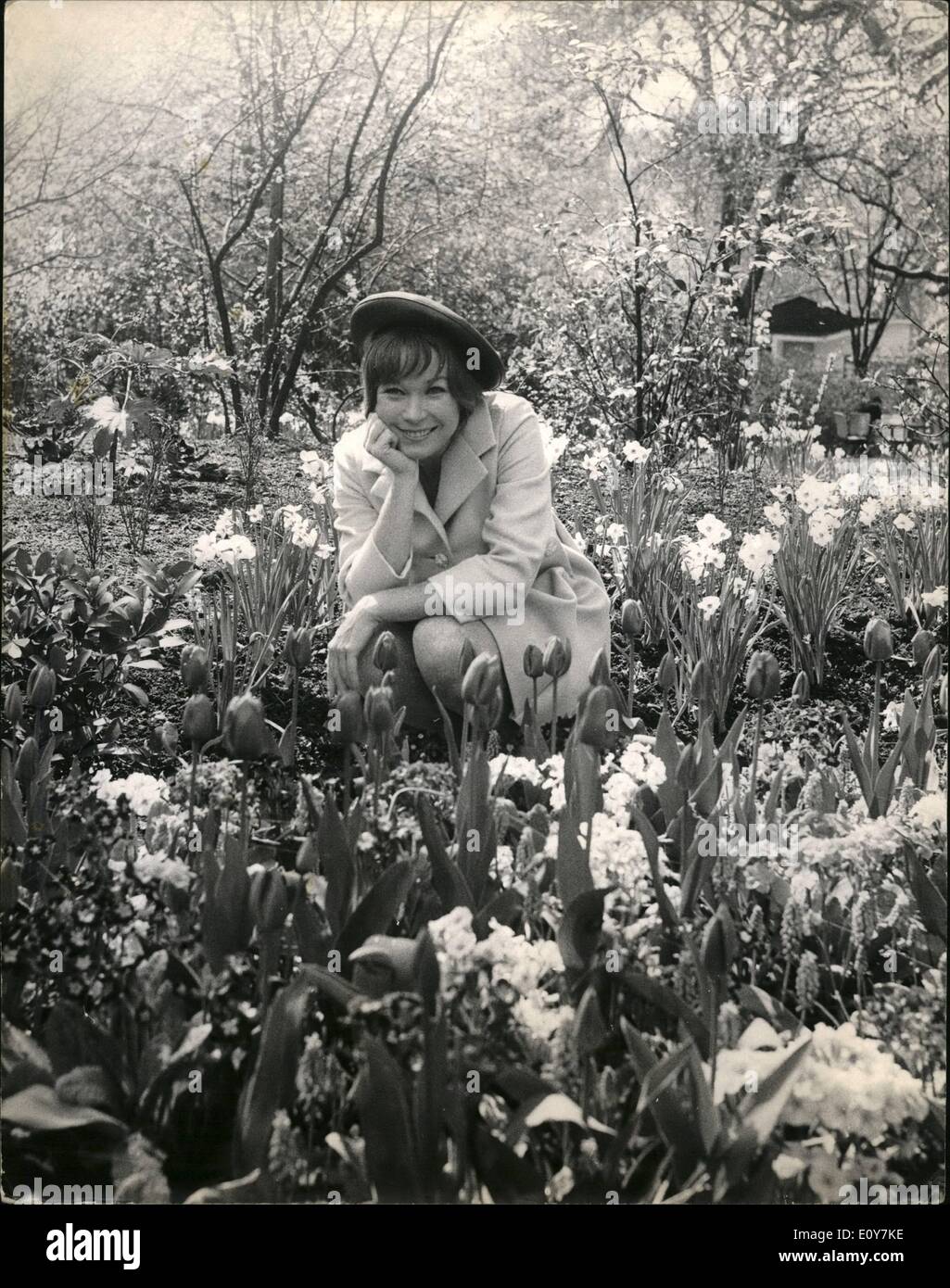 Avril 04, 1969 - Shirley MaClaine à Londres. : Shirley MaClaine, l'une des stars les plus polyvalents d'Hollywood, dans la région de Londres pour une courte visite, qui coïncide avec l'ensemble de sortie de son dernier film ''Sweet Charity''. Photo montre Shirley MaClaine fait une photo de charme au milieu des tulipes au London's Embankment Gardens aujourd'hui. Banque D'Images