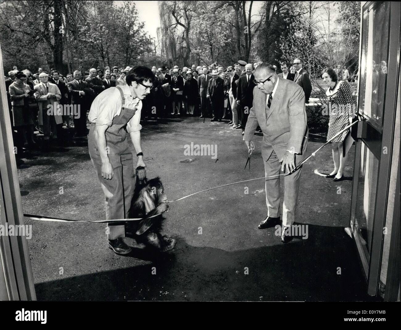 Avril 04, 1969 - The Stolen show. : Dans le zoo de Bâle à une nouvelle maison moderne pour mon a été inauguré il y a quelques jours. Il a été l'UEDN Banque D'Images