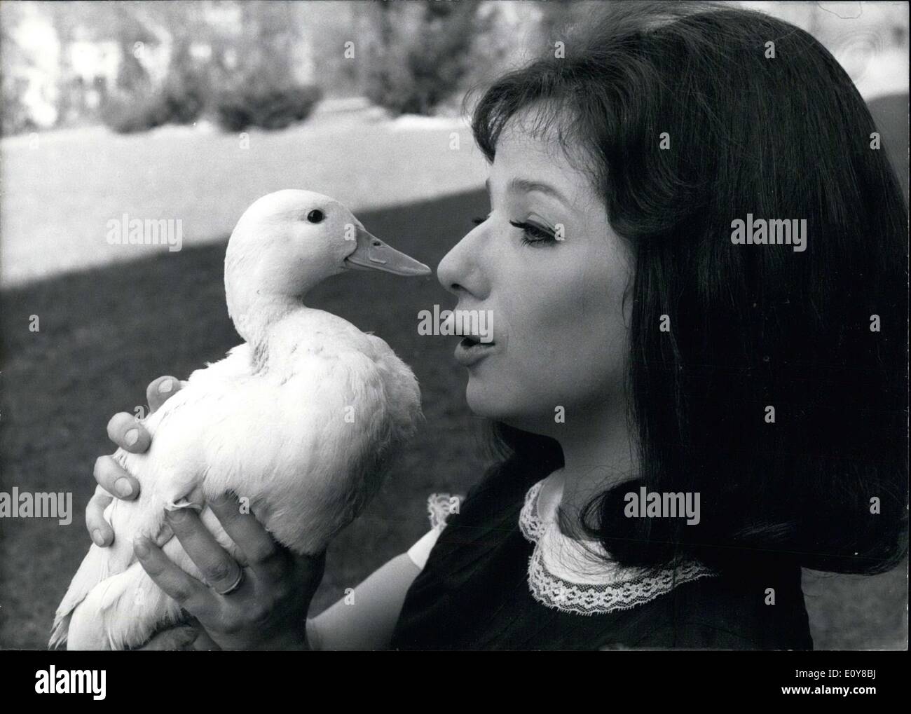 24 avril 1969 - Photo n'est star allemande Lydia Weiss et son fidèle compagnon, Napoléon le canard. Elle est à lui, parce que roucouler Banque D'Images