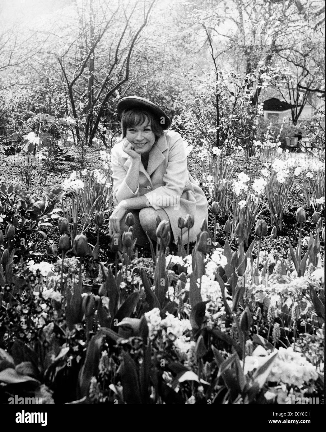 L'actrice Shirley MacLaine en fleurs à Embankment Gardens Banque D'Images
