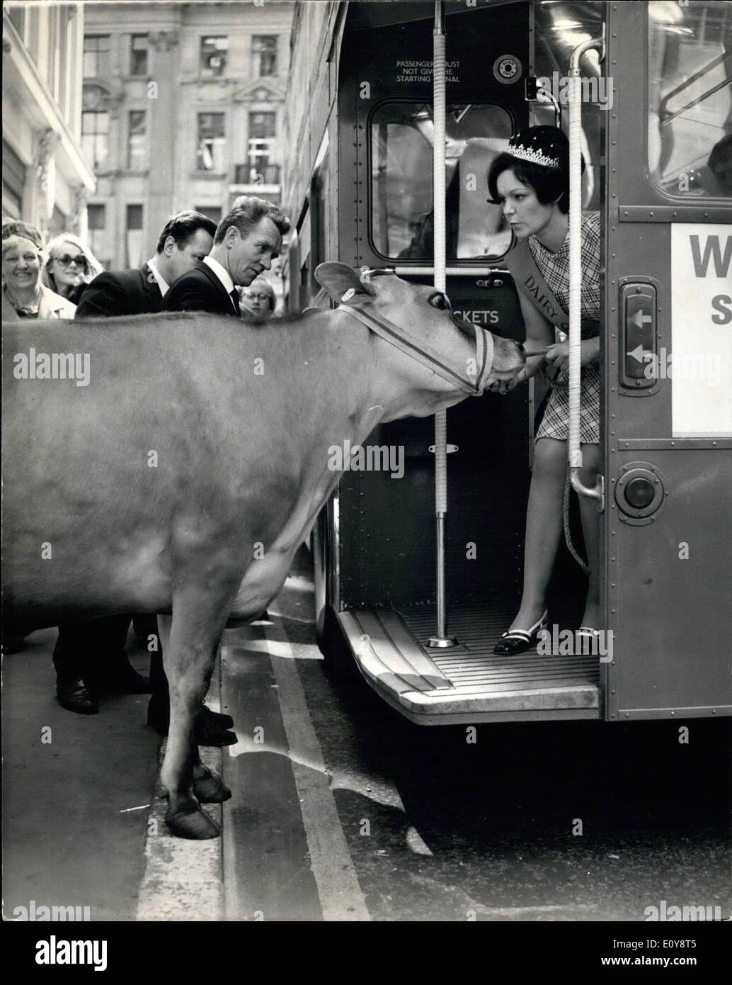 Mai 05, 1969 - Accueil Presse d'annoncer des plans pour le 14ème Festival national de l'industrie laitière à Londres : un accueil presse d'annoncer des plans pour le 14ème Festival national de l'industrie laitière qui s'ouvre à l'extérieur du Royal Exchange dans la ville de Londres le 3 juin, a eu lieu aujourd'hui au Centre National de l'industrie laitière, John Princes Street. Pour ajouter une touche de couleur à cet événement une vache primés, Stondon Massey Fairy Bell était présent avec le National Dairy Queen, 20 ans, Joan Harland, de Wetherby, Yorkshire Banque D'Images