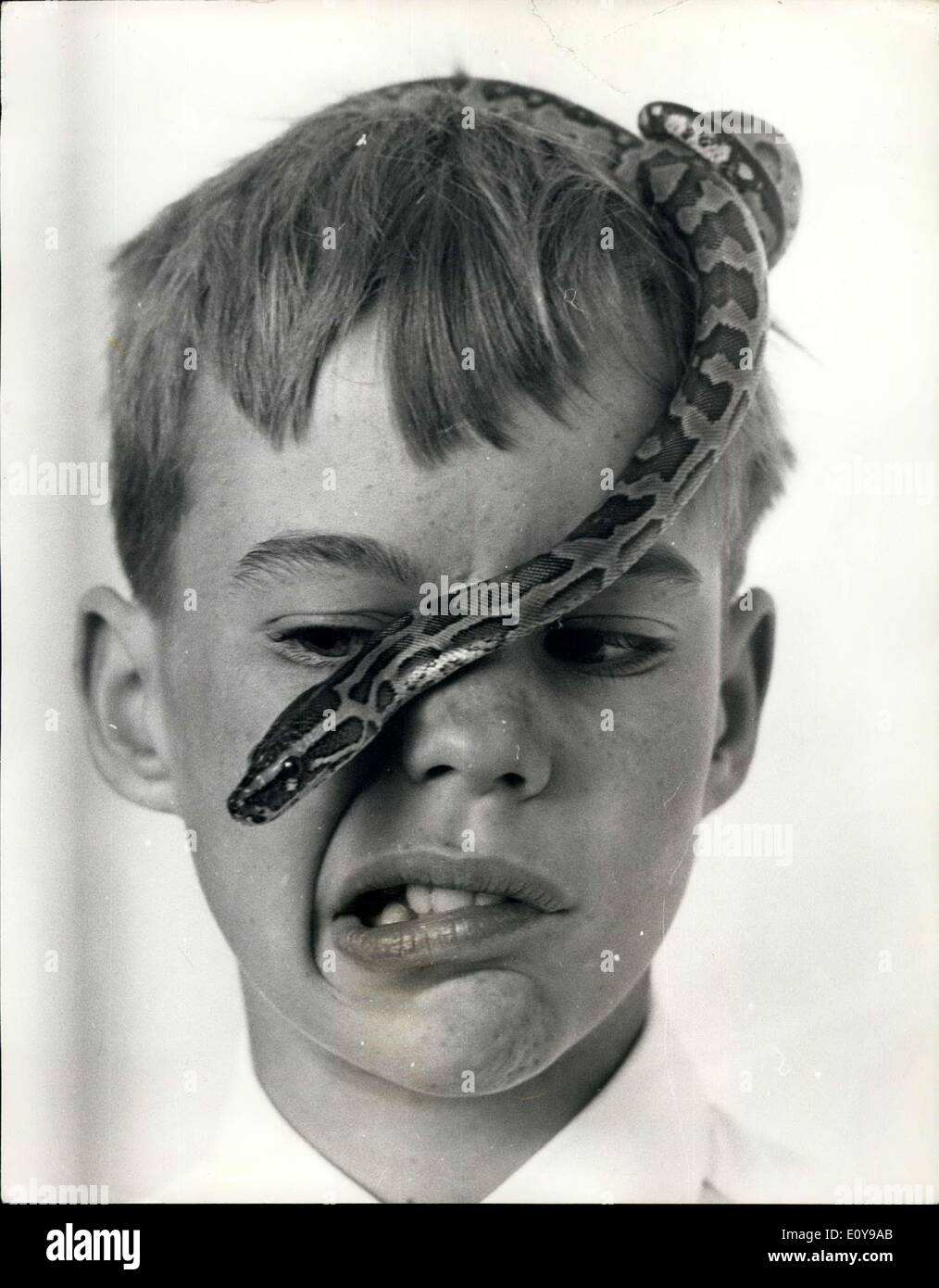 28 août 1969 - à venir face à face avec un python : Les enfants sont allés à l'Hôtel Savoy - hier, beaucoup d'entre eux avec leur animal de serpents - pour une réception pour le lancement d'un nouveau livre qui sera publié demain par le groupe Hamlyn, dont l'objectif est d'encourager les enfants à propre non-serpents venimeux et ainsi devenir les herpétologistes. Photo montre 10 ans Stephen Jopham, de Smallfield, Surrey - utilise ses yeux aussi loin que possible, alors qu'il regardait son African rock python glisser sur sa tête. Banque D'Images