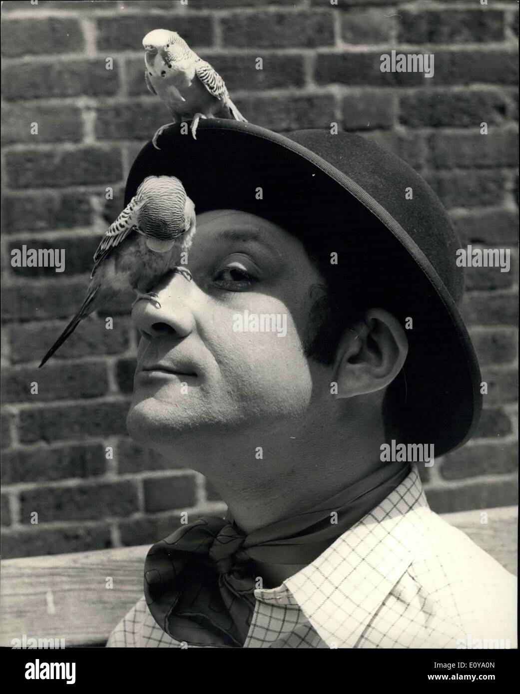 Juin 11, 1969 - Budgie homme rencontre (réelle) Budgie Man. Comédien Freddie Davies, qui est actuellement en vedette dans la série ITV ''C'est les Bachelors'' (juin 12e, 19e, 26e), est célèbre comme ''Mr. Parrotface'' qui se rapporte au sujet des histoires hilarantes duff extrêmement perruches. Mais pendant les répétitions pour les émissions de télévision il a rencontré quelques perruches qui sont très loin de duff. Ils sont la propriété de Don couronne qui les utilise dans un acte dans lequel l'perruches faire tout ce qu'il leur raconte et fonctionne à l'air libre sans s'envoler Banque D'Images