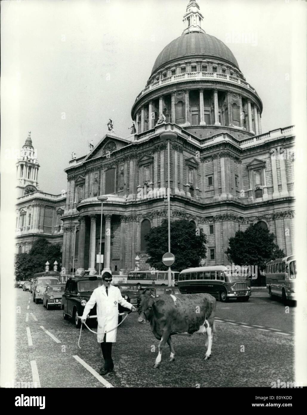 08 août 1970 - Sir Alan Herbert célèbre ses 60 ans avec le poinçon ; pendant soixante ans Sir Alan Herbert a contribué au magazine Punch. Aujourd'hui marque l'anniversaire, et de célébrer ce que l'on pense être la plus longue période tout écrivain/journaliste a écrit régulièrement pour un magazine. Punch présenté Sir Alan avec un chèque tiré sur le côté d'une vache. (C'était un sujet dans sa célèbre série de cas trompeuse). Il a été signé à la direction de la Barclays Bank. Photo montre la GC, qui s'appelle Pettings Regent Alna qui était appuyée pour l'occassion par producteur de lait, M. C.M. Banque D'Images