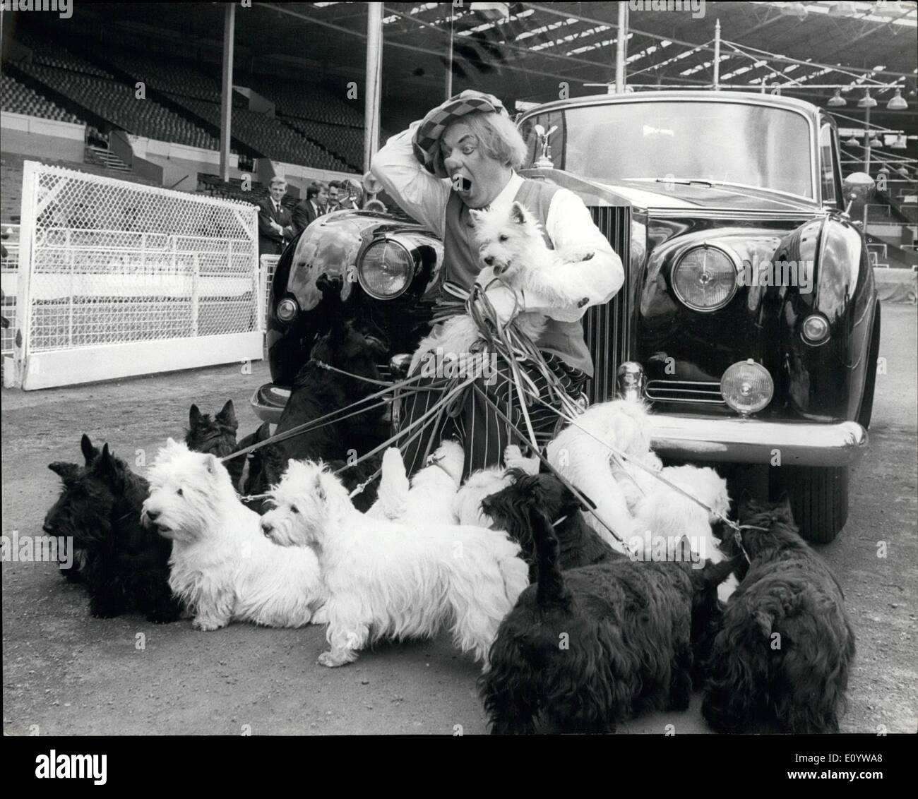 Juillet 07, 1971 - célèbre clown russe Popov sélectionne la chien pour commencer son Wembely à agir dans un stade de soumission pour en trouver un de son acte avec le Cirque d'État de Moscou à Wembley's Empire extérieure le mois prochain. Son chien a été interdite à partir de la Grande-Bretagne en vertu des lois de quarantaine. Popov , vu avec certains des chiens il a auditionné, n'est vu porter le chien il a choisi - Gemma, un terrier puppy administré par un éleveur de chien de Hertfordshire. Banque D'Images