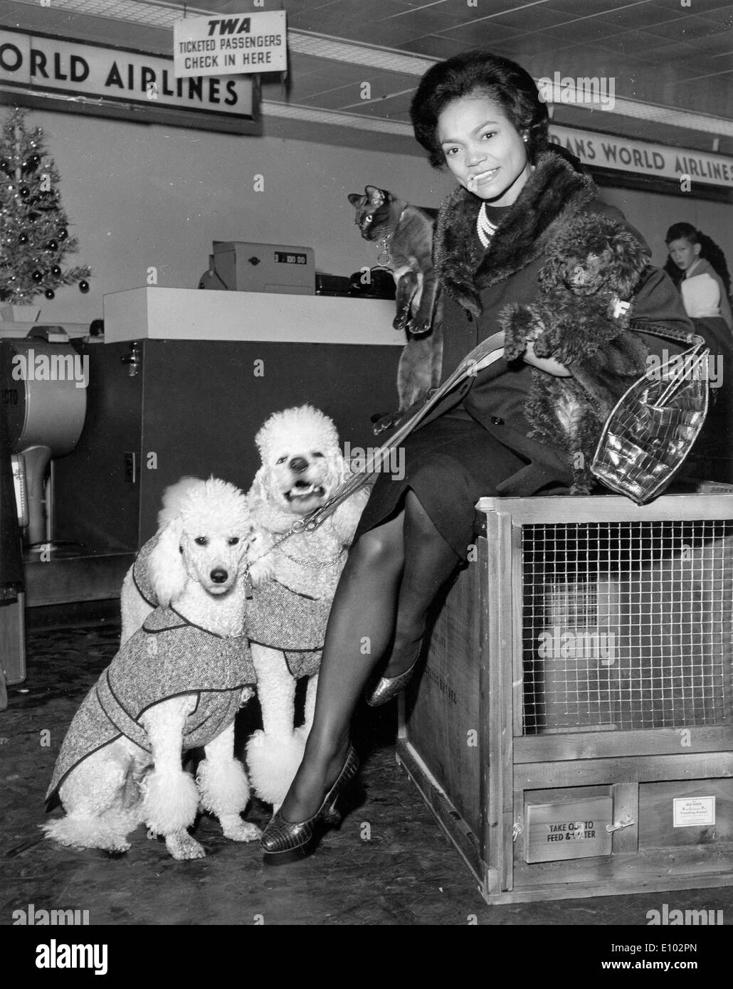 Singer d'Eartha Kitt voyages avec tous ses animaux Banque D'Images