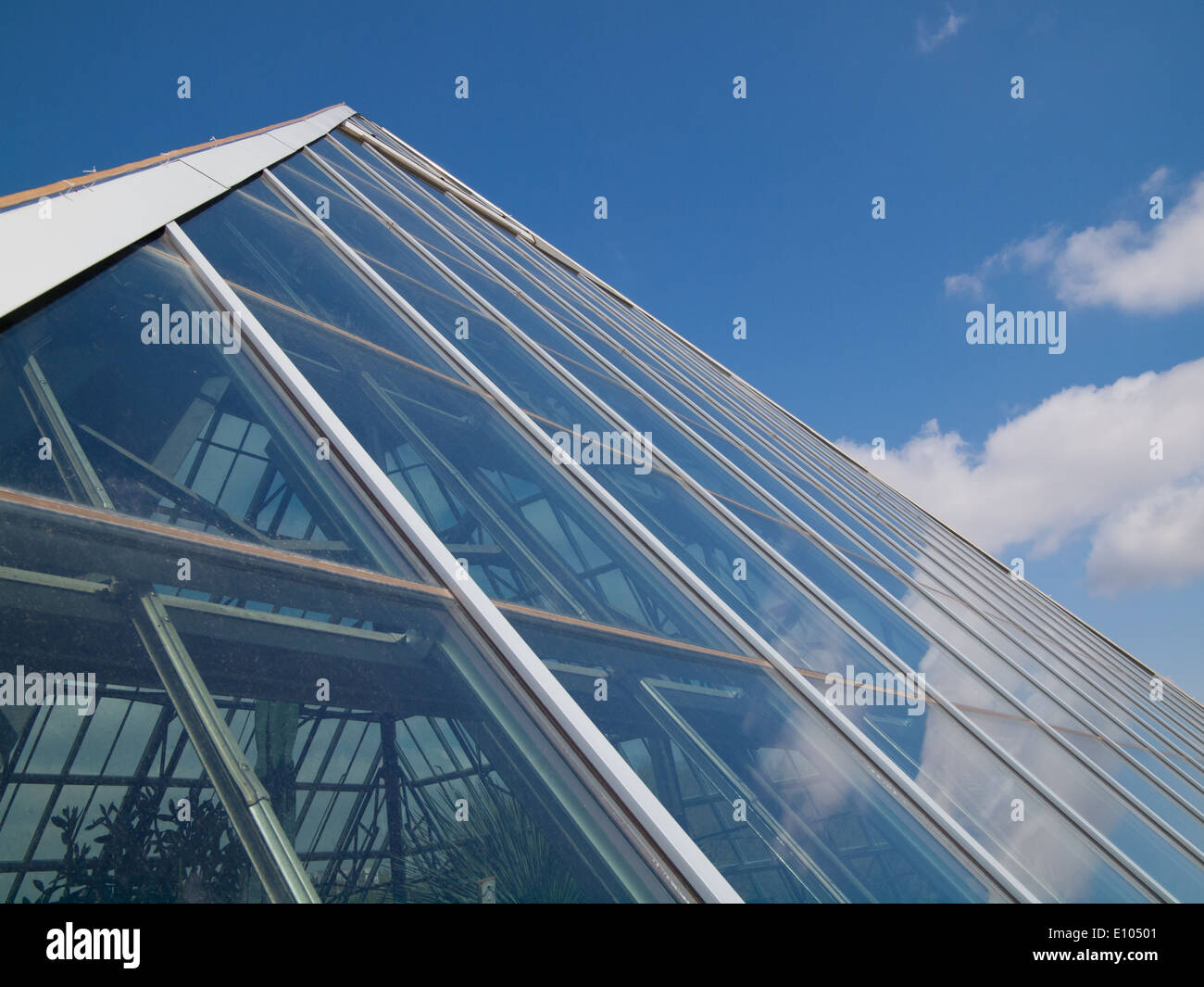 Les pyramides de verre de la Muttart Conservatory, un jardin botanique et noté monument d'Edmonton, Alberta, Canada. Banque D'Images