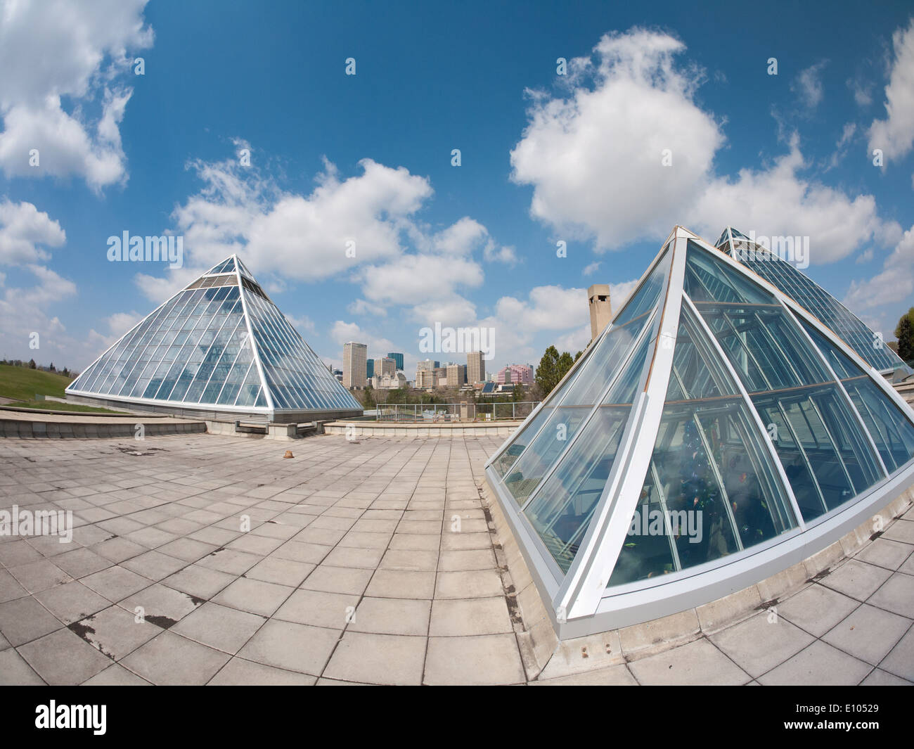 Un fisheye vue sur les pyramides de verre de la Muttart Conservatory et l'horizon d'Edmonton. Edmonton, Alberta, Canada. Banque D'Images