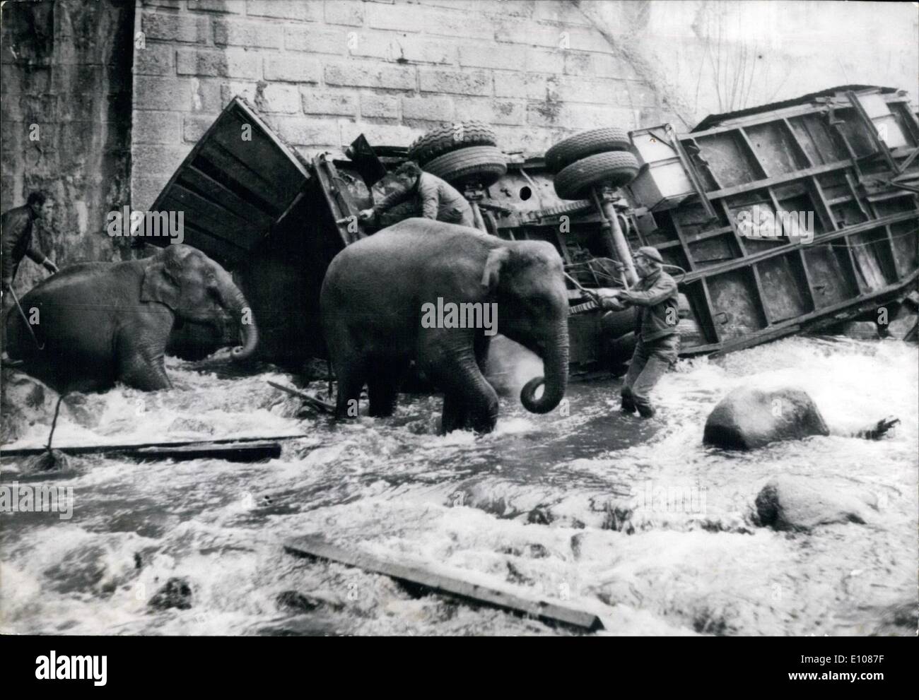 Mar. 03, 1970 - caravane voiture transportant les éléphants Falls en grève : Une caravane voiture transportant quatre éléphants de cirque a raté une courbe de la route nd est tombé dans un ravin sur l'autoroute près de Montluçon hier. Trois des éléphants pouvaient être sauvés tandis que le quatrième a été tué dans l'accident. Photo montre : Les éléphants ont été sauvés de la voiture caravane située dans le ravin. Banque D'Images