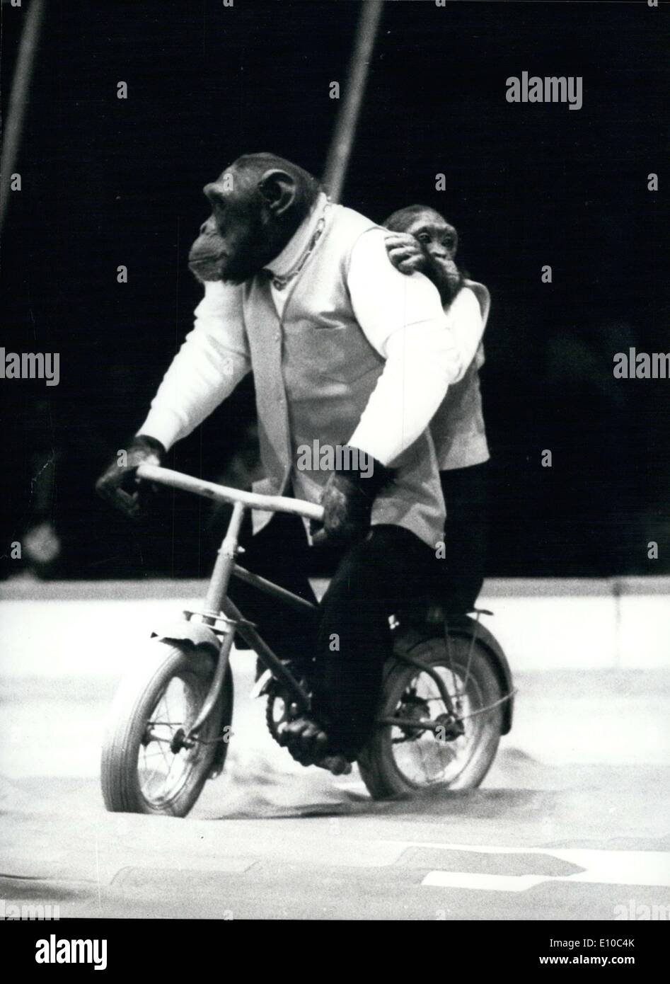 Mar. 28, 1972 - Les chimpanzés de Jean Richard Cirque formé par Willy Meyer. Banque D'Images