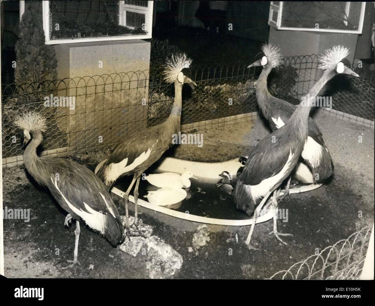 12 novembre 1972 - Show ouverte par Mme Pierre Messmer, épouse du Premier Ministre Banque D'Images