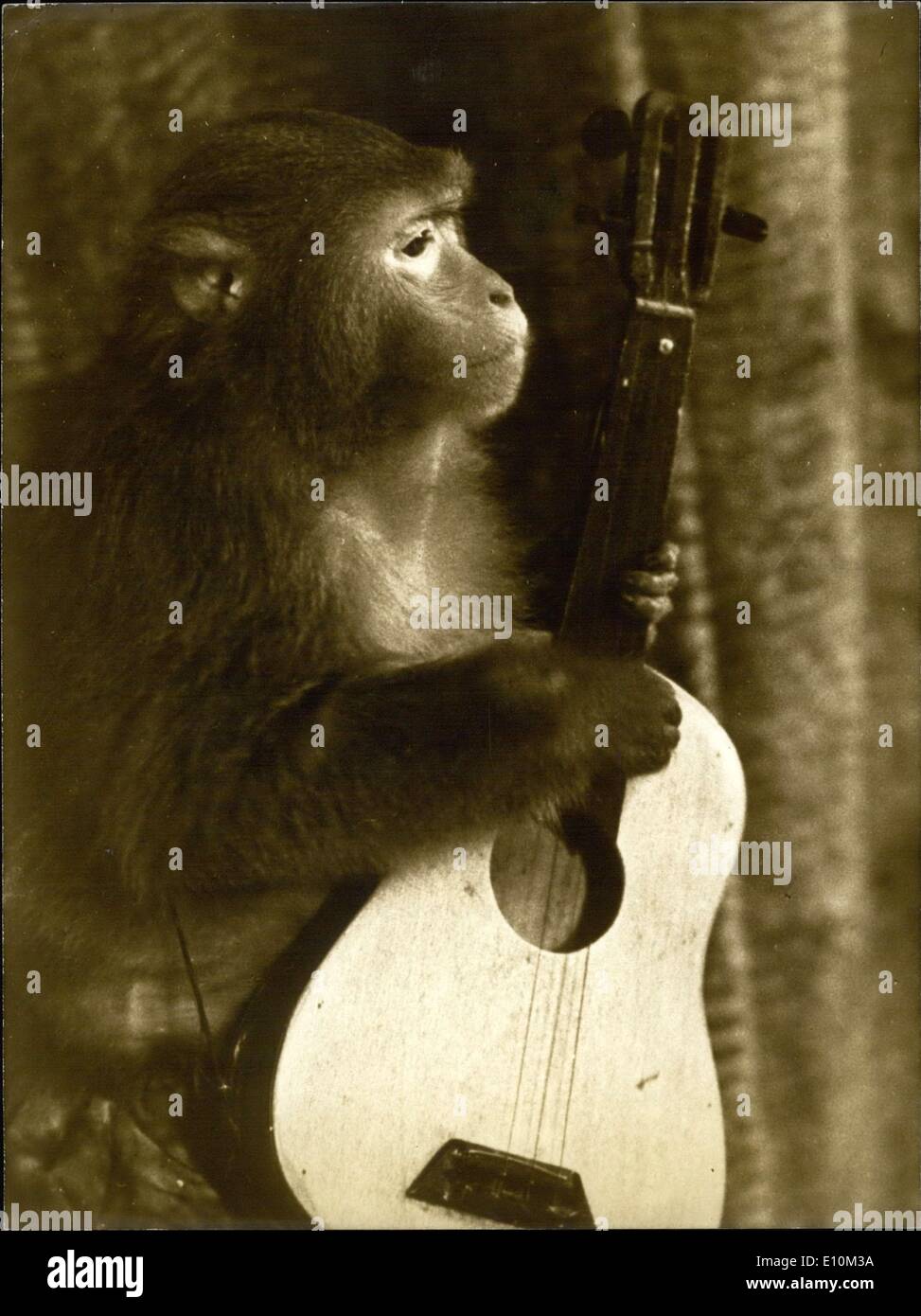 Juin 05, 1973 - Un singe avec une guitare dans une comédie encore de Photo  Stock - Alamy