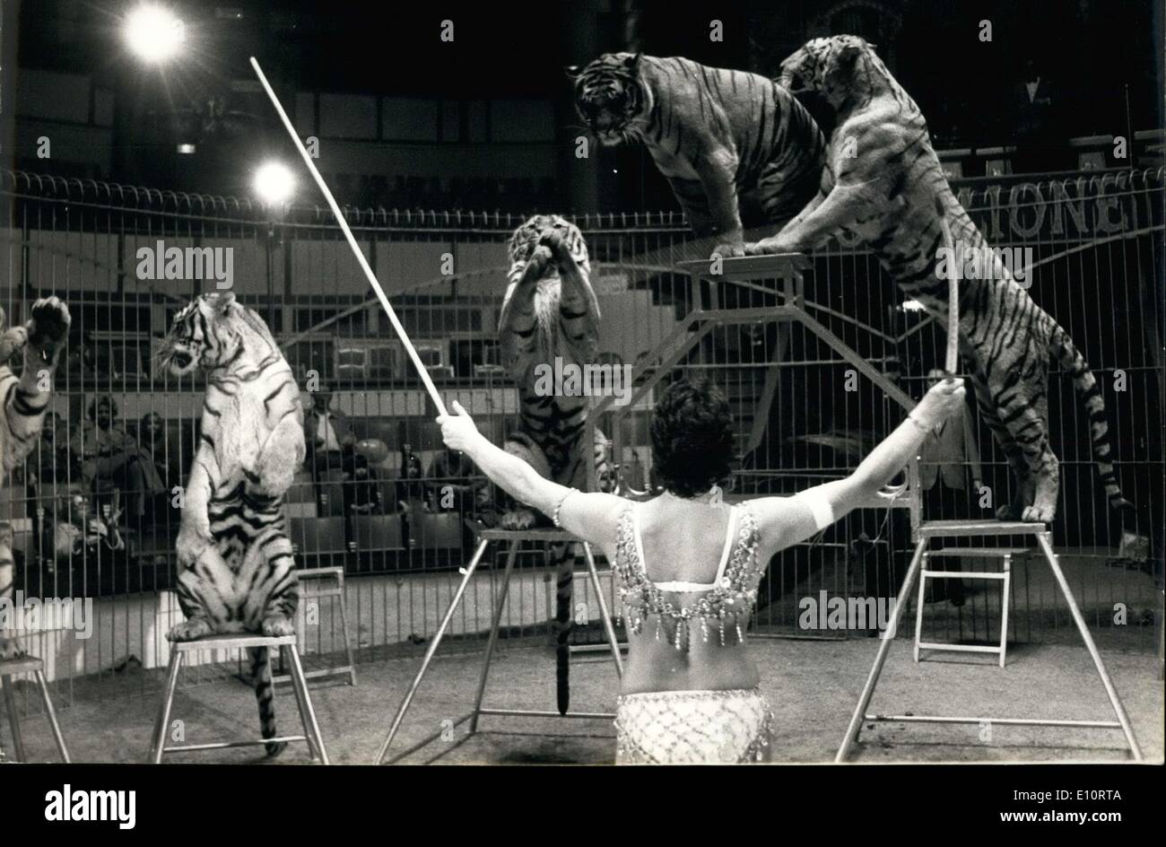 28 octobre, 1973 - Pour la première fois dans le célèbre cirque d'hiver Bouglione, une femme s'aventure dans le grand chat cage. Élève de Firmin Bouglione, Catherine Blankart, fille d'un banquier suisse, présente un groupe de 7 tigres gourmette qu'elle a gracieusement fait exécuter pour l'auditoire's delight. Catherine Blankart et ses tigres dans le grand chat dans la cage Bouglione cirque à Paris. Banque D'Images