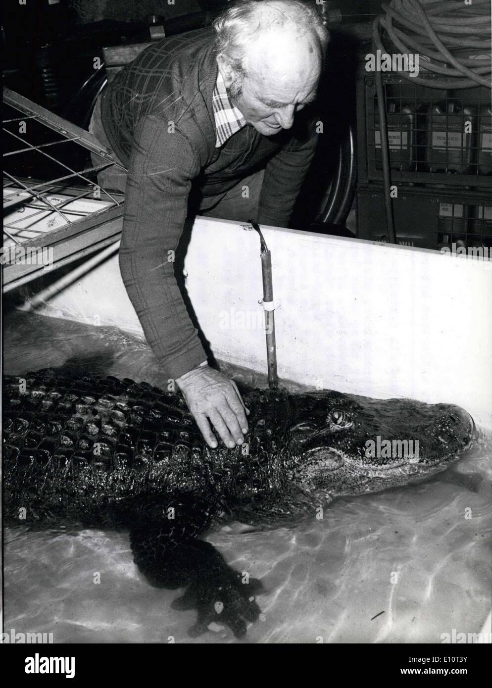 18 janvier 1974 - Le maître et son crocodile M. Georg Heppenheimer, ici, n'est pas un peu peur de ce trois mètres de long crocodile qui il caresse très affectueusement. Après tout, ils sont partenaires depuis des années déjà depuis ''Donald'', c'est le nom de la bête, est la star de de M. Heppenheimer's Animal Show, l'un de l'attraction majeure de la Octobre-célébration annuelle de Munich. Le reste de l'année comment jamais, pet Donald est une sorte d'hibernation dans la cave d'un industriel de Munich comme un sous-locataire Banque D'Images