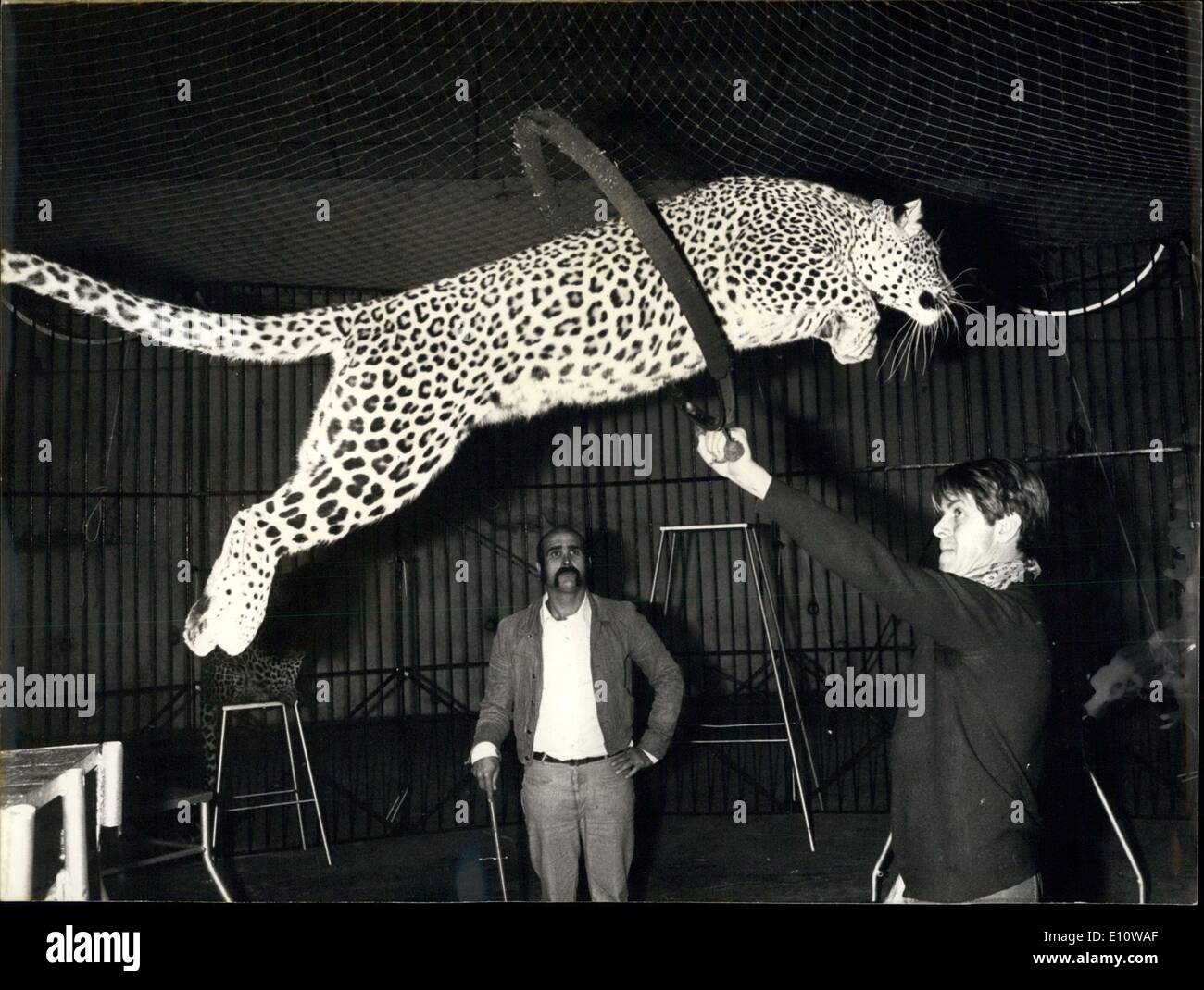 Juin 12, 1974 - Cirque D'Hiver, Michele Le Royer Répéter Agir avec Panther Banque D'Images