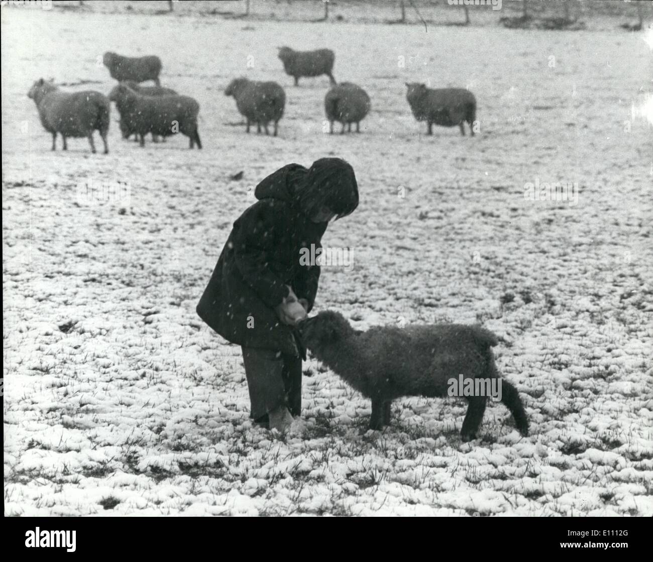 Mar. 03, 1975 - La neige dans le Kent : cinq ans Jane Hitchcock, un farmer's daughter se nourrir d'un agneau avec du lait chaud, pour se protéger du froid sur une ferme à Shoreham, dans le Kent, hier. Banque D'Images