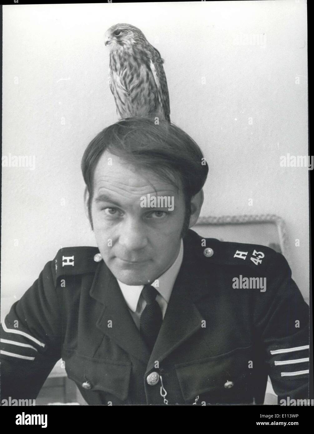 Juillet 17, 1975 - Friendly cop obtient l'oiseau ? Un policier avec un poids sur son esprit, que le service à son domicile, à Ilford Essex, est le Sgt. Christopher Whapham 32, dont s'accompagne d'un tel goût à la loi qu'il a refusé de partir avant de police où il était en détention. Pas plus que la poule Kestrel voler loin de Sgt. Whapham s ?il a conduit la maison hier à un sanctuaire à Wheathamstead où il a réussi à lui donner l'oiseau. Suis/Keystone Banque D'Images