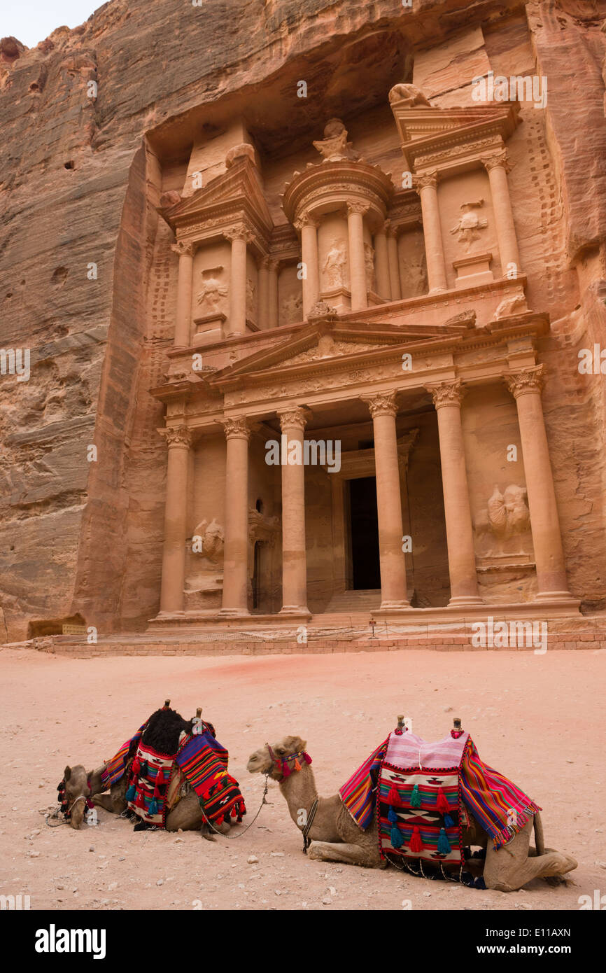 Les chameaux se trouvant en face d'un déserté Al Khazneh, (le Conseil du Trésor), Petra, Jordanie Banque D'Images