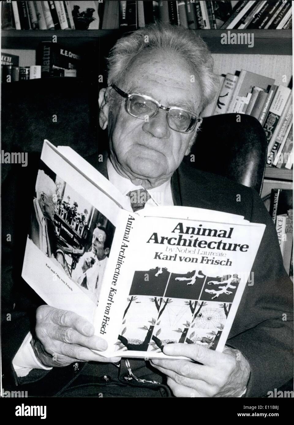 11 novembre 1976 - 90e anniversaire de naissance de Karl Ritter von Frisch : le 20 novembre 1976, Karl Ritter von Frisch, professeur de zoologie et d'anatomie comparée, va devenir 90 ans. Le célèbre scientifique, qui est né à Vienne et vit aujourd'hui à Munich, a prouvé que les poissons peuvent distinguer les couleurs et que les abeilles s'orientent par la lucarne. Karl Ritter von Frisch a étudié à Vienne et à Munich et donné des conférences à Rostock, à partir de 1921, à partir de 1925 à Munich et de 1932 à Breslau. À partir de 1946 dans le Grz et à nouveau de 1950 à 1958 à Munich à l'Institut de Zoologie Banque D'Images